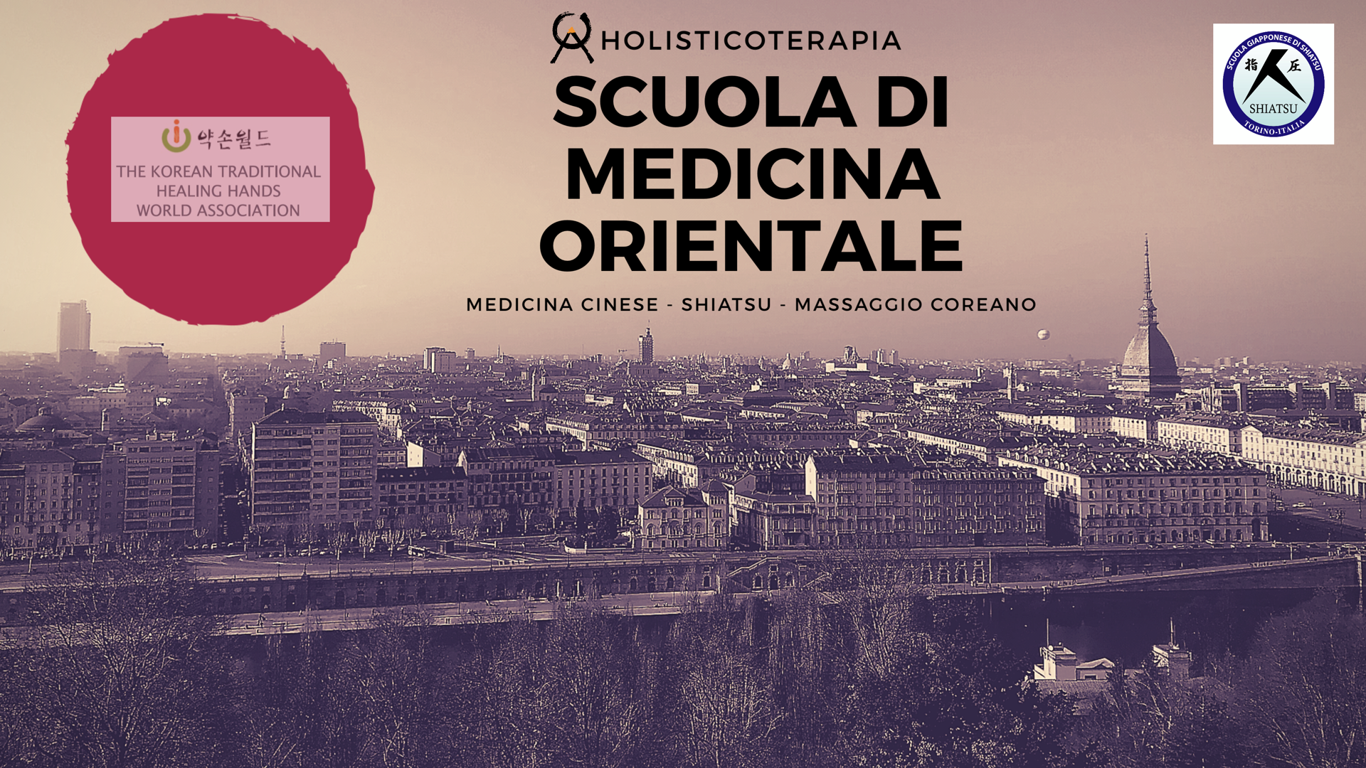 Holisticoterapia - Meridian System 2019 - 2020