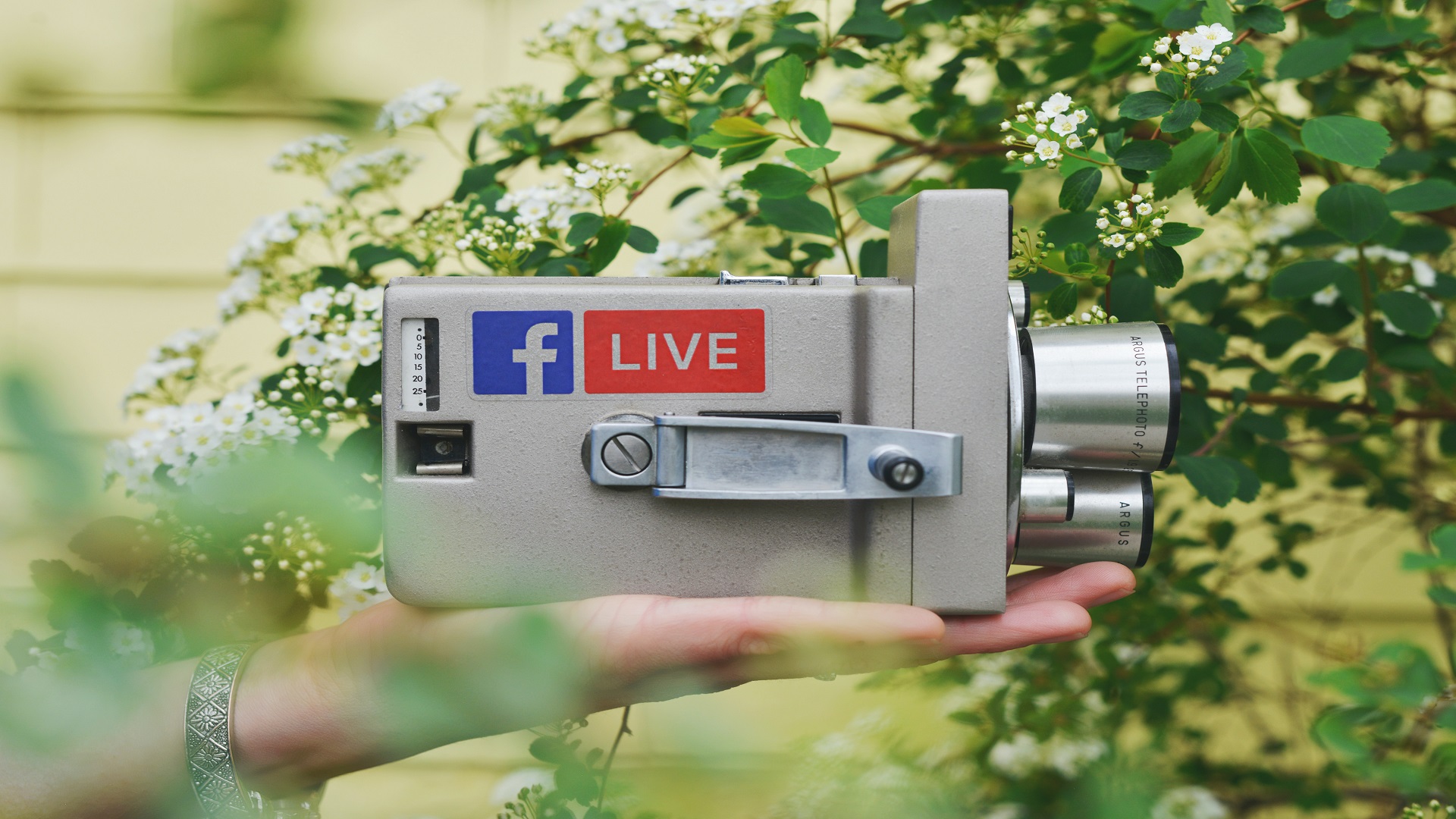 WEBINAR LIVE - Martedì 17 Novembre ore 12:00